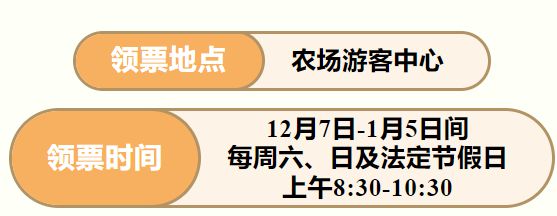 皖美冬日丨快樂繼續(xù)！全椒2024巨型南瓜藝術王國12月7日起迎客！免費送票啦(圖4)