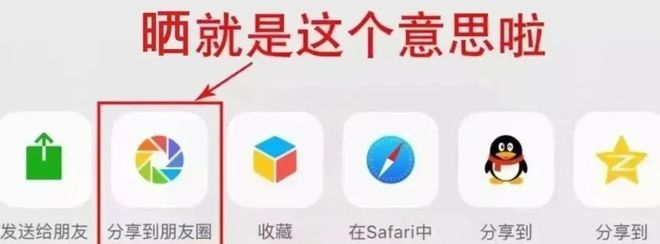 皖美冬日丨快樂繼續(xù)！全椒2024巨型南瓜藝術王國12月7日起迎客！免費送票啦(圖2)