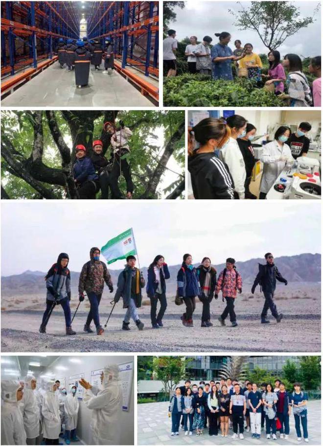 萬科雙語高中惠聰校長專訪：在學術水平提升與綜合素質培養(yǎng)之間尋求平衡(圖9)
